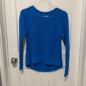 Blue Loft Sweater